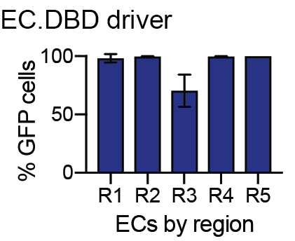 Graph displaying percentages of ECs expressing GFP by region when EC.DBD was crossed to the PM.AD driver.